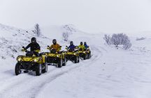 ATV riding and whale watching combo
