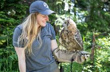 Grouse Mountain Admission Ticket