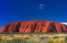 Uluru Sunrise and Field of Light