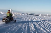 Guided snowmobile tour in Sälen