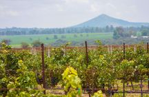 Queretaro wine and cheese private tour from Mexico City