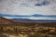 Cachi Full-Day Tour From Salta