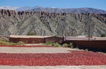Cachi Full-Day Tour From Salta