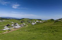 Day trip to Kamnik and Big Pasture Plateau from Ljubljana