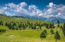 Day trip to Kamnik and Big Pasture Plateau from Ljubljana