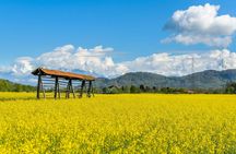 Land of Hayrack and open-air museum day trip from Ljubljana