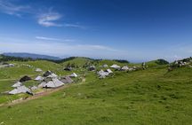 Kamnik and Velika Planina day trip with transport from Bled