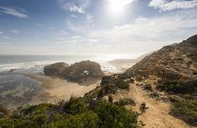 Mornington Peninsula sightseeing and Bay cruise