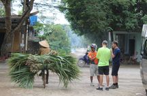Hanoi highlights full-day tour with cyclo ride and water puppet show
