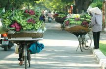 Hanoi highlights full-day tour with cyclo ride and water puppet show