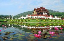Golden Triangle and White Temple guided tour from Chiang Mai