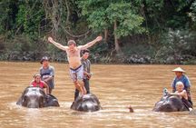 Luang Prabang Elephant Village and Kuang Si Waterfalls full-day tour