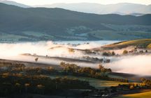 Yarra Valley Bus Wine Tour including lunch with a glass of wine and chocolate
