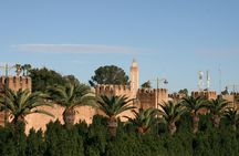 Tiout Taroudant full-day tour