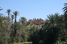 Tiout Taroudant full-day tour