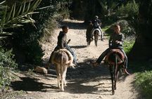Tiout Taroudant full-day tour