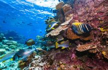 Great Barrier Reef snorkel indigenous experience