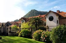 El Castillo caves and Paleolithic art day trip from Santander