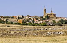 Full-day wine tour and visit to Goya's birthplace