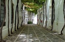 Jerez private guided tour