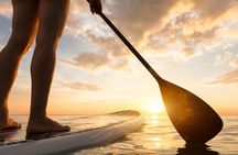 Beginner SUP lesson in Zingst