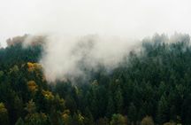 Culture and traditions private hike through the Black Forest