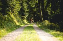 Panorama private hike through the Black Forest with a Local