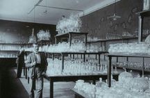 Excursion to Rückl Crystal Glass Factory Nizbor from Prague