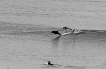 Beginner Group Surf Class