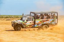 West Island and Jeep Safari Adventure in Curaçao