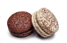 Burgundy truffle hunting demonstration and truffle lunch