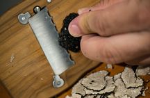 Burgundy truffle hunting demonstration and truffle tasting session
