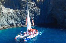 3-hour whale and dolphin observation on an eco-catamaran