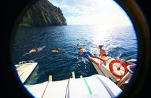 3-hour whale and dolphin observation on an eco-catamaran