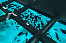 Coral viewing glass bottom-boat tour in Aqaba with open buffet