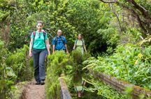 Full-day walking tour in Lagoa do Fogo