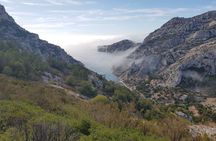 Road bike rental for Calanques National Park and Marseille