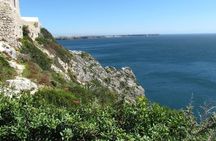 Sagres full-day birdwatching tour