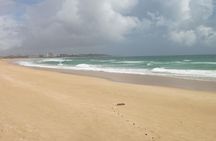 Abicada lagoon and Alvor dunes birdwatching tour