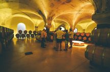 Amarone wine E-bike tour