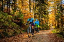 Biking tour on Ljubljana's MTB trail
