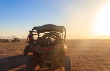 Agadir buggy adventure