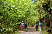 Lagoa do Fogo full-day hiking tour
