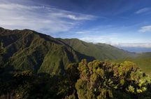 Northeastern São Miguel full-day van tour