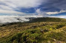 Northeastern São Miguel full-day van tour