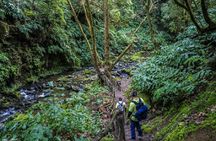 Hiking tour to Moinho do Félix from São Miguel