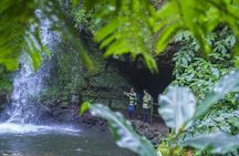 Hiking tour to Moinho do Félix from São Miguel