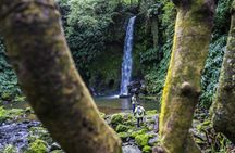 Hiking tour to Moinho do Félix from São Miguel