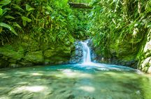 Mindo full-day tour