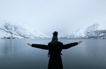 Winter Kvaløya Fjord tour